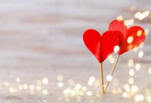 Prețuri speciale pentru buletin de Brașov | MyTex.ro