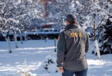 Tentativă de mită: șofer bulgar denunțat după ce a oferit 120 de euro unui polițist de frontieră 32 | MyTex.ro