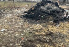 Date importante despre ITP | MyTex.ro