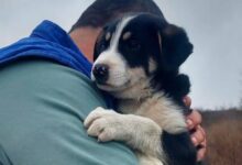 Un cartier din Brașov - cel mai accesibil din țară la capitolul locuri de parcare | MyTex.ro