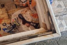 Controale ANSVSA în toată țara: amenzi de aproape 4 milioane de lei și sute de nereguli în restaurante și fast-food-uri 5 | MyTex.ro