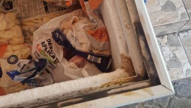 Controale ANSVSA în toată țara: amenzi de aproape 4 milioane de lei și sute de nereguli în restaurante și fast-food-uri 10 | MyTex.ro