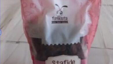 CFR Marfă vinde o clădire din centrul Brașovului | MyTex.ro