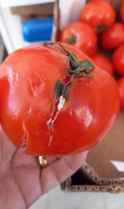 ANPC: Peste 1.500 de operatori verificați, amenzi de peste 5,6 milioane lei pentru nereguli în alimentație, cosmetice și servicii 20 ANPC | MyTex.ro