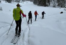 Localități întregi fără doctori de familie | MyTex.ro