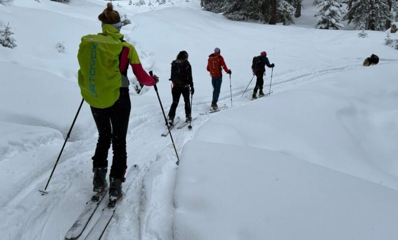 Risc mare de avalanșă în Piatra Craiului: salvamontiștii recomandă prudență și evitarea traseelor spre creastă 3 Avalanșă | MyTex.ro