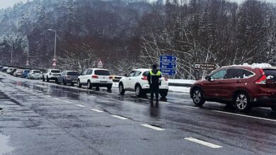 alimentele funcționale | MyTex.ro