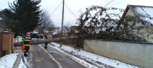 Zeci de intervenții ale pompierilor covăsneni, în doar trei zile. Incendiu la o cabană din Zăbala 16 Intervenții | MyTex.ro