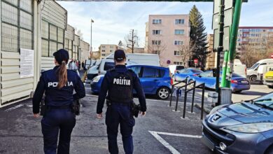 Primărița | MyTex.ro