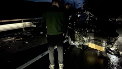 Fan Courier | MyTex.ro