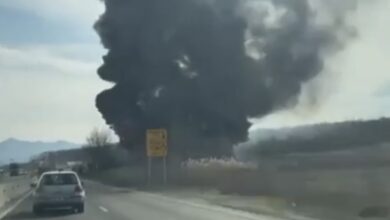 Efective mărite | MyTex.ro