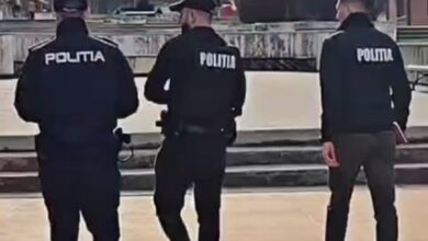 Efective mărite | MyTex.ro