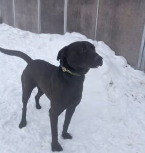 Video. Îl caută sau recunoaște cineva? A ajuns la adăpostul public din Brașov după un incident în miez de noapte, pe o stradă din oraș 5 Adăpostul public | MyTex.ro