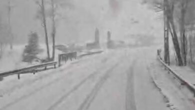 Suplimentele | MyTex.ro