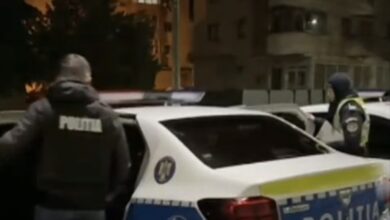 Făgăraș | MyTex.ro