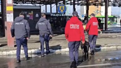 VIDEO. Acțiune a polițiștilor pentru siguranța publică în cartierul Bartolomeu: amenzi, permise reținute și controale în trafic 5 | MyTex.ro