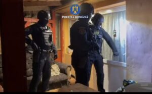 Percheziții | MyTex.ro