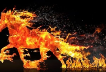 Anul Calului de Foc în România: schimbări rapide și oportunități uriașe în 2026 5 Brașov | MyTex.ro