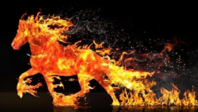 Anul Calului de Foc în România: schimbări rapide și oportunități uriașe în 2026 7 Administrație | MyTex.ro