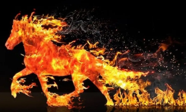 anul calului de foc | MyTex.ro