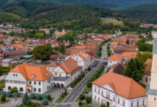 Animawings | MyTex.ro