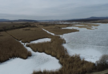 Zona unică din Brașov care a ajuns în atenția lumii: 20.000 de păsări și un sit de importanță globală 3 | MyTex.ro