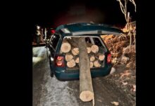 Update. Poliția Brașov, haz de necaz: „Din ciclul… Câți bușteni poți transporta maxim cu un Passat?” 5 Consilier | MyTex.ro