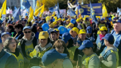 A mâncat în Brașov | MyTex.ro