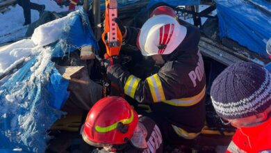 Înșelăciune | MyTex.ro