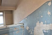 Rujeola - tot ce trebuie să știți | MyTex.ro