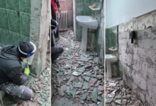 „Spitalul morții” sau începutul unei renașteri? Oncologia de la Mârzescu, între demisii, orgolii și promisiuni 5 Zodiacul Chinezesc 2025 | MyTex.ro