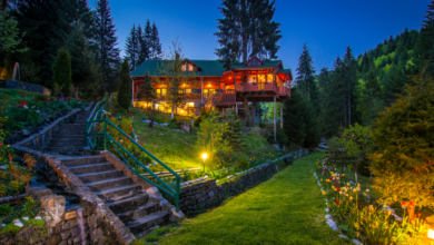 Nicolae Ceauşescu | MyTex.ro