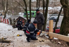 Nu are mâini și nu poate vorbi | MyTex.ro