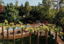 Exotic la doar 111 km de Brașov: Conacul cu palmieri și cramă veche, scos la vânzare. Cum arată „raiul” ascuns din Dealul Mare 8 | MyTex.ro