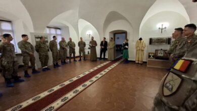 Expoziție | MyTex.ro