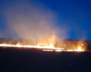 Vegetație | MyTex.ro