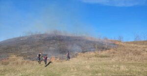 Vegetație | MyTex.ro