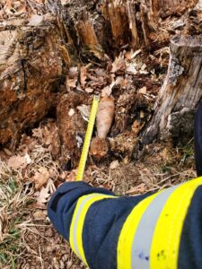 Intervenție pirotehnică în Șugaș Băi: echipajul ISU Covasna a ridicat bombe, grenade și cartușe neexplodate (FOTO) 13 Șugaș | MyTex.ro