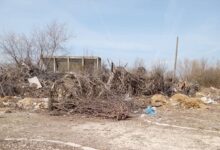 AJOFM Brașov. 6.360 șomeri erau înregistrați la sfârșitul lunii mai | MyTex.ro