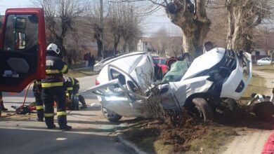 Tânărul | MyTex.ro