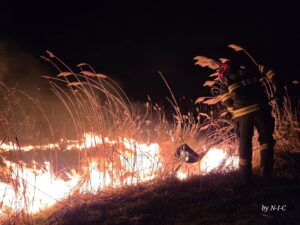 ISU Brașov, aproape 170 de intervenții în weekend. Zeci de incendii de vegetație în județ (FOTO - VIDEO) 10 Brașov | MyTex.ro