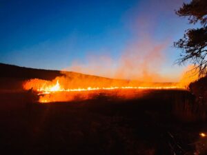 ISU Brașov, aproape 170 de intervenții în weekend. Zeci de incendii de vegetație în județ (FOTO - VIDEO) 11 Brașov | MyTex.ro