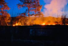 ISU Brașov, aproape 170 de intervenții în weekend. Zeci de incendii de vegetație în județ (FOTO - VIDEO) 3 | MyTex.ro