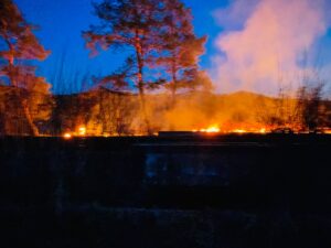 ISU Brașov, aproape 170 de intervenții în weekend. Zeci de incendii de vegetație în județ (FOTO - VIDEO) 9 Brașov | MyTex.ro