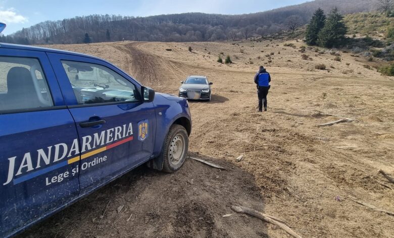 Jandarmeria Brașov - peste 1.450 de misiuni, aproape 900.000 de lei în amenzi și sute de intervenții pentru animale sălbatice, în primul semestru din 2026 3 Brașov | MyTex.ro