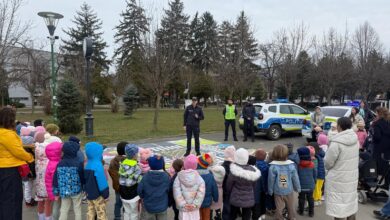 Activitate | MyTex.ro