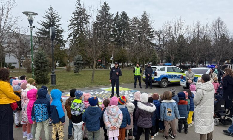 Activitate | MyTex.ro