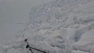 Avalanșă în Munții Bucegi (video) 7 | MyTex.ro
