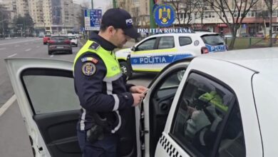 Proprietari | MyTex.ro