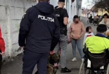 transportatori | MyTex.ro